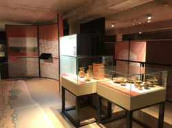 Muséographie, conception meuble, impression et pose de signalétique - Solution Exposition