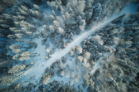 DJI_0494.jpeg