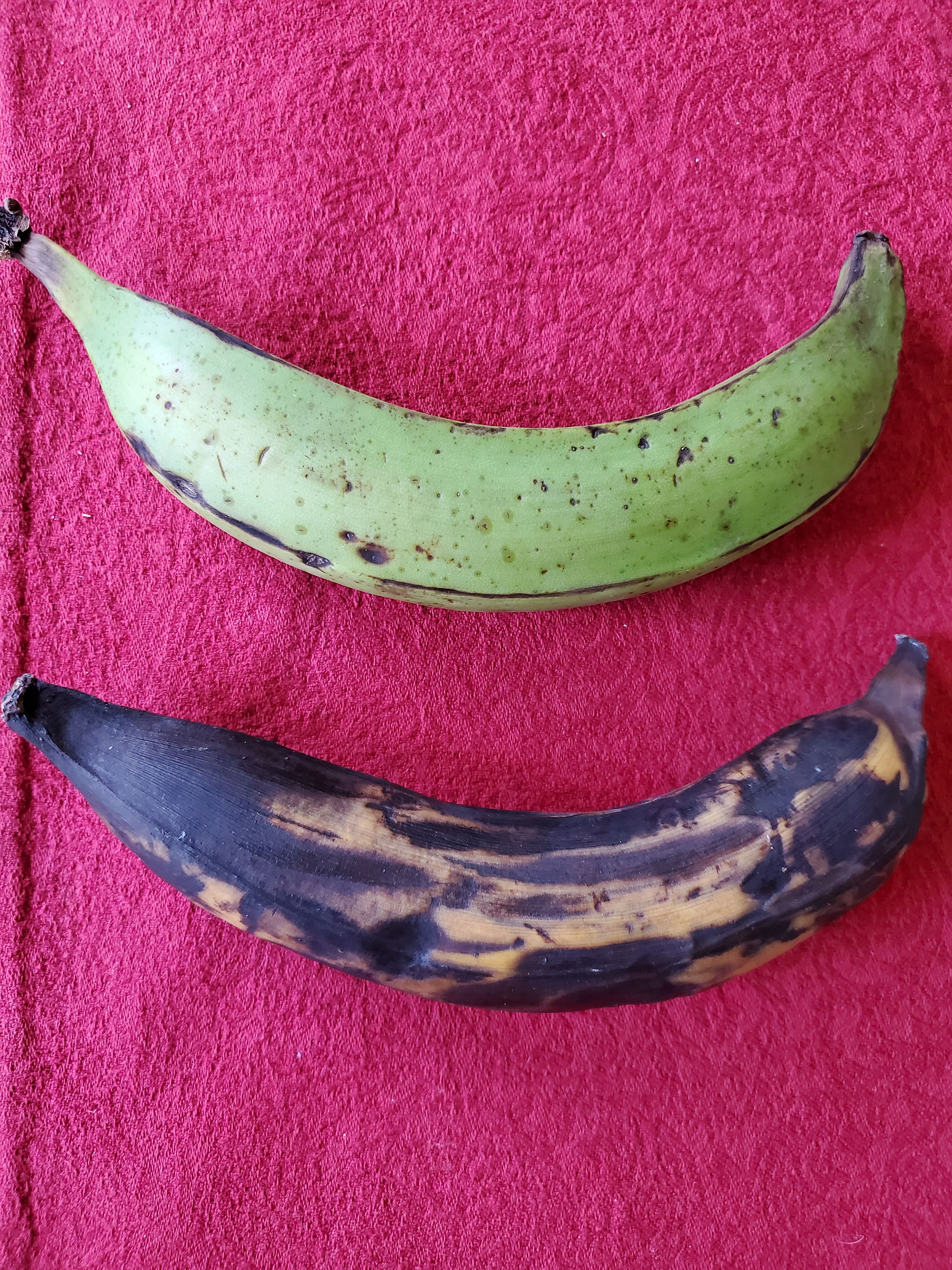 Green and yellow plantains