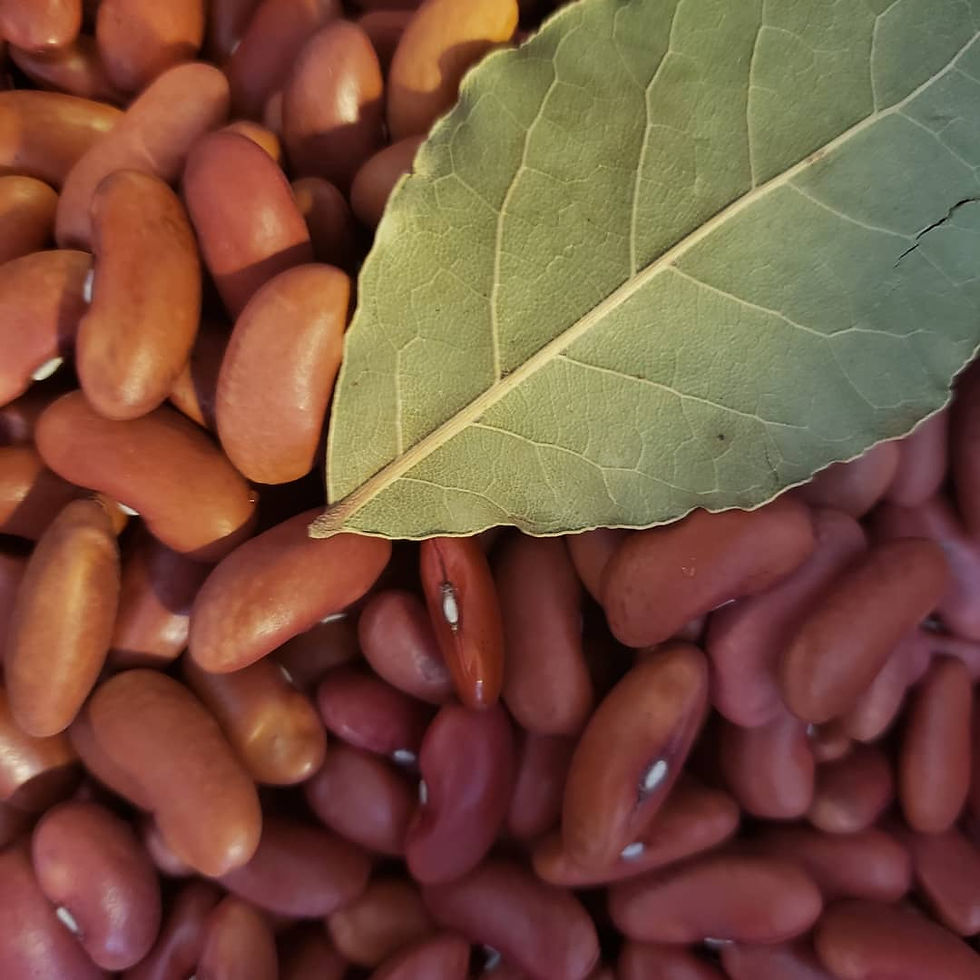 Dried kidney beans with bay leaf
