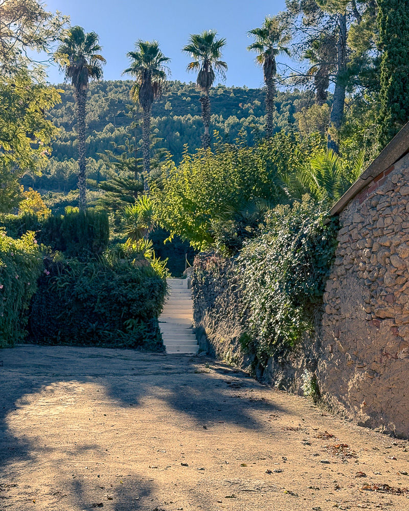 Vei som leder opp til hvit trapp mot palmer og åskam i Murvegg med veggmaleri i den lille landsbyen Carrícola