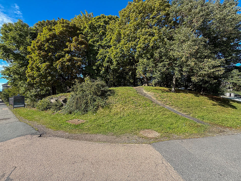 Liten jordtopp med store grønne trær kalt Galgeberg i Oslo