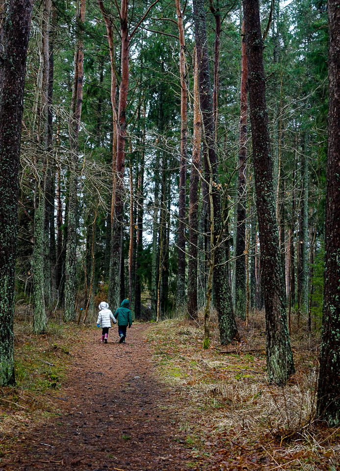 Barn på vei inn i skogen på Nøtholmen ved Strømstad
