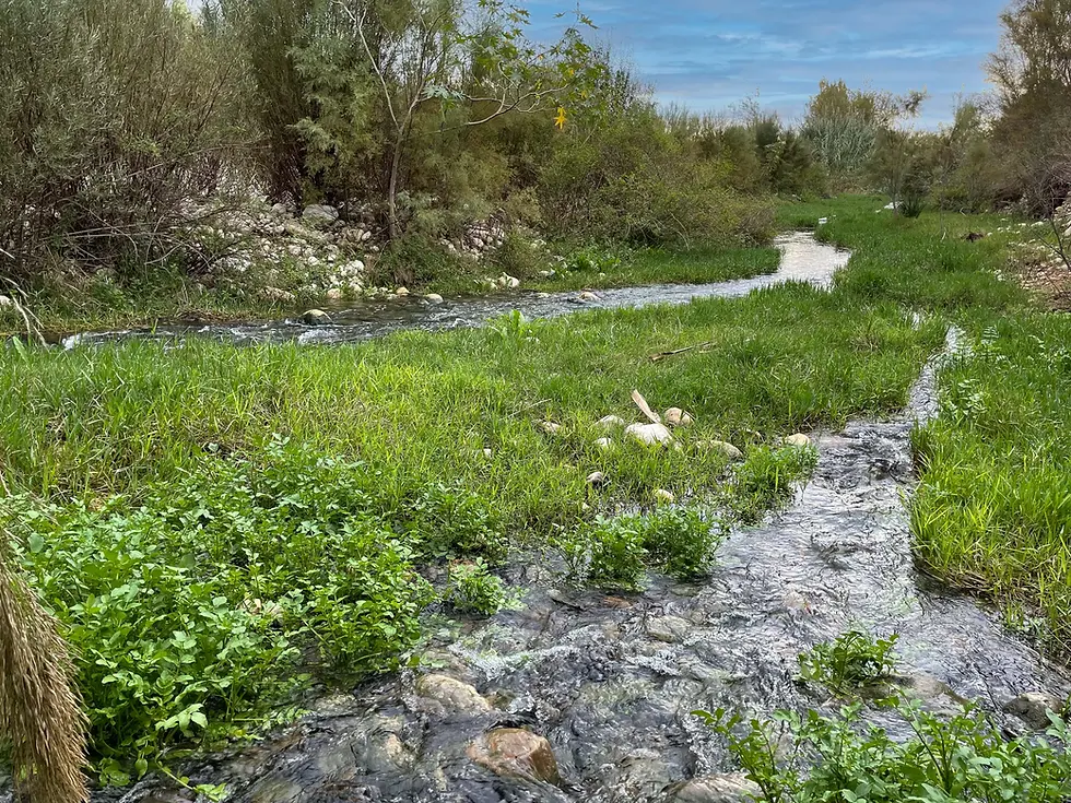 Rennende vann i río Algar ved Altea