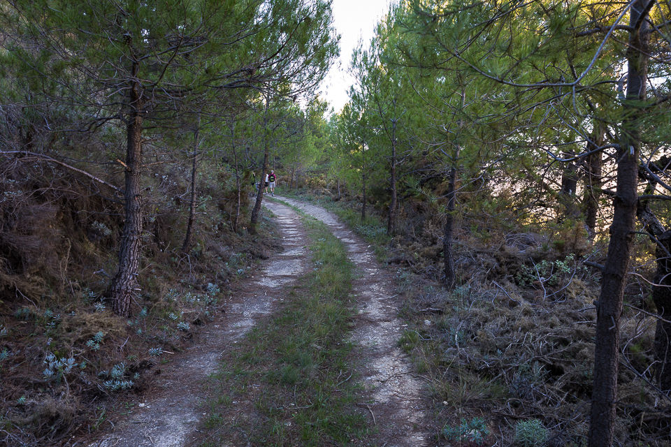 Kjerrevei opp til Sellafjellet
