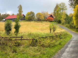 Sæteren Gård - actividades en la naturaleza - senderismo por el bosque
