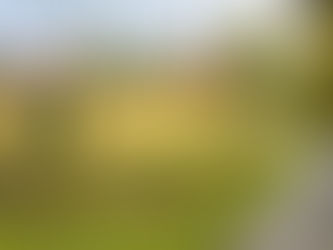 Sæteren Gård - aktiviteter i naturen - fottur i skog