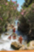 ree