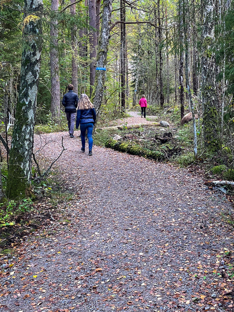 Mennesker går på turvei som slynger seg i skog på Oljeberget i Strömstad
