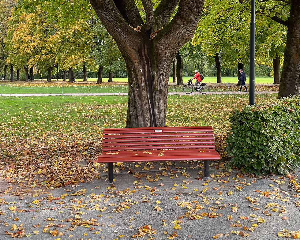 Rød benk foran tre i park i Frognerparken i Oslo