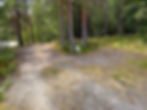 Veiskille i skog ved Fjoneferja i Nisser