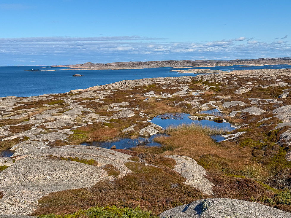 Flatt terreng med vanndammer og kort vegetasjon på Sandön i Smögen på Sveriges vestkyst