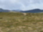 Vide vidder og slake fjell på Dovrefjell i Dovrefjell- Sunndalsfjella nasjonalpark