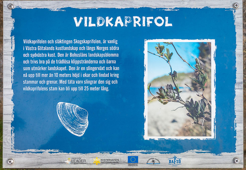 Informasjonsplakat ved stranden i Daftö Resort ved Strömstad