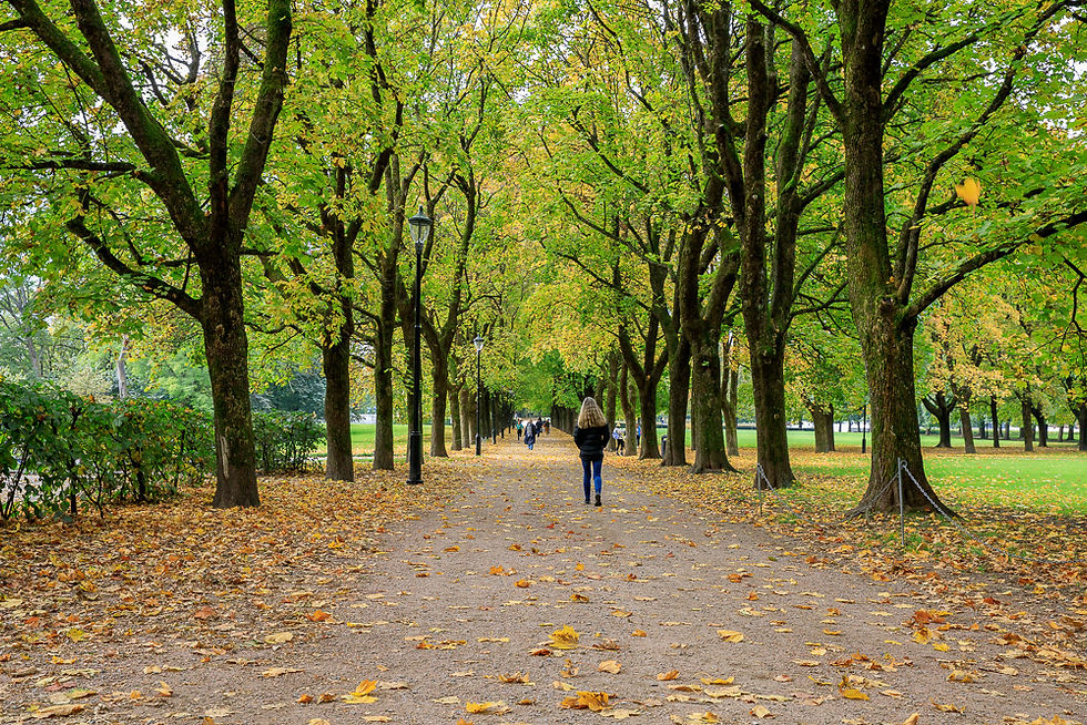 Kvinne går i allé i Frognerparken i Oslo