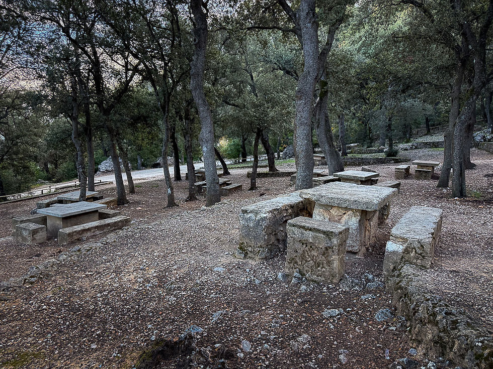 Rekreasjonsområde med benker og bord i stein i skyggen av tunge trekroner ved Santuari de la Font Roja i Alcoy