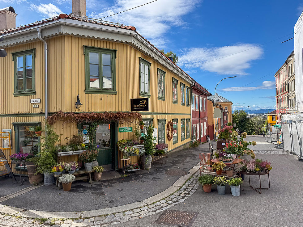 Hushjørne med gult trehus med mange blomster foran i Vålerenga i Oslo