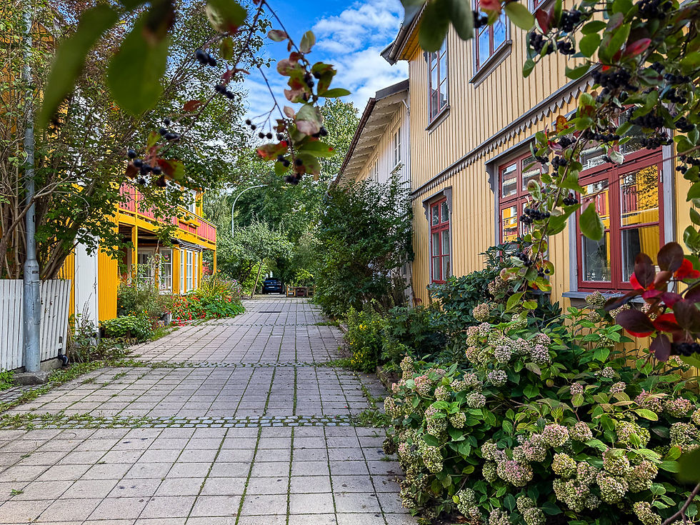 Pittoresk smal gate med gamle trehus påsidene og mange blomster og busker langs veggene i Kampen i Oslo