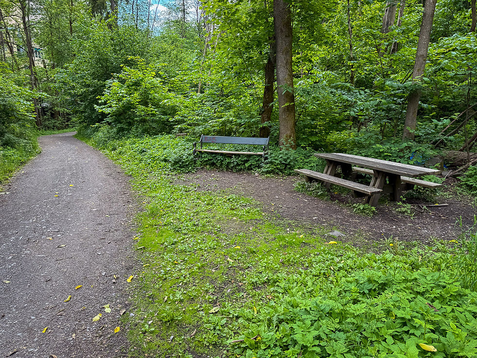 Benker ved turvei i skog ved Merradalsbekken i Oslo