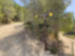 ree