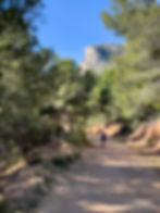 ree