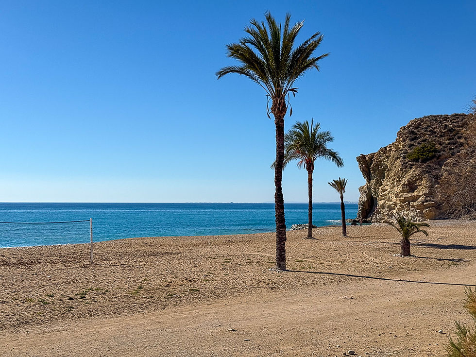 Strand med palmer i Playa El Paradis i Villajoyosa på Costa Blanca