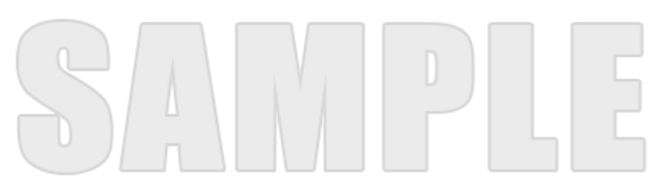 SAMPLE 02_edited.png