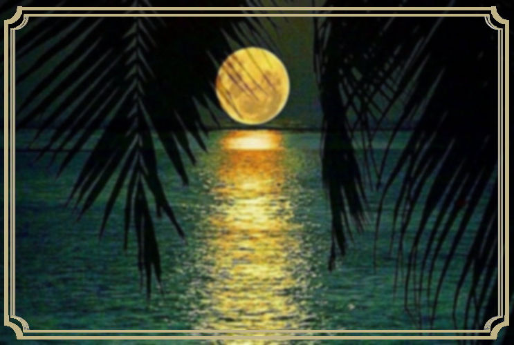 TropicalMoon_Gold.jpg
