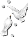 Doves_Pearls_DS.png