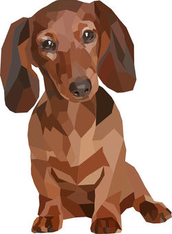 Vitrážovaný jezevčík