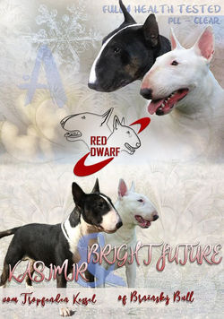 Jeden zapomenutý Mating flyer