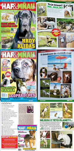 Tři články v časopise Haf & Mňau