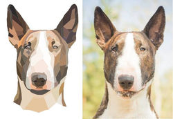 António Evil Wild Hyena