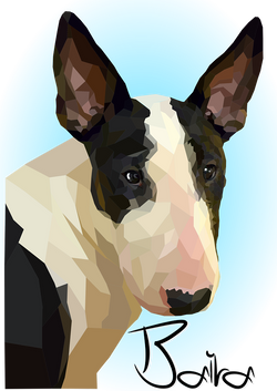 Vitráž - vektorová grafika