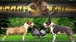 Letáček na přání :)