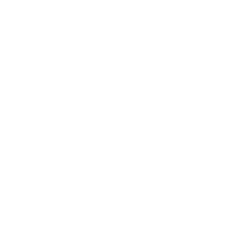 Lettermark_White copy 2.png