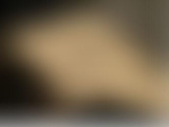 Compte-rendu du Conseil municipal n° 6 14/04/2021 lo noste compte rendut