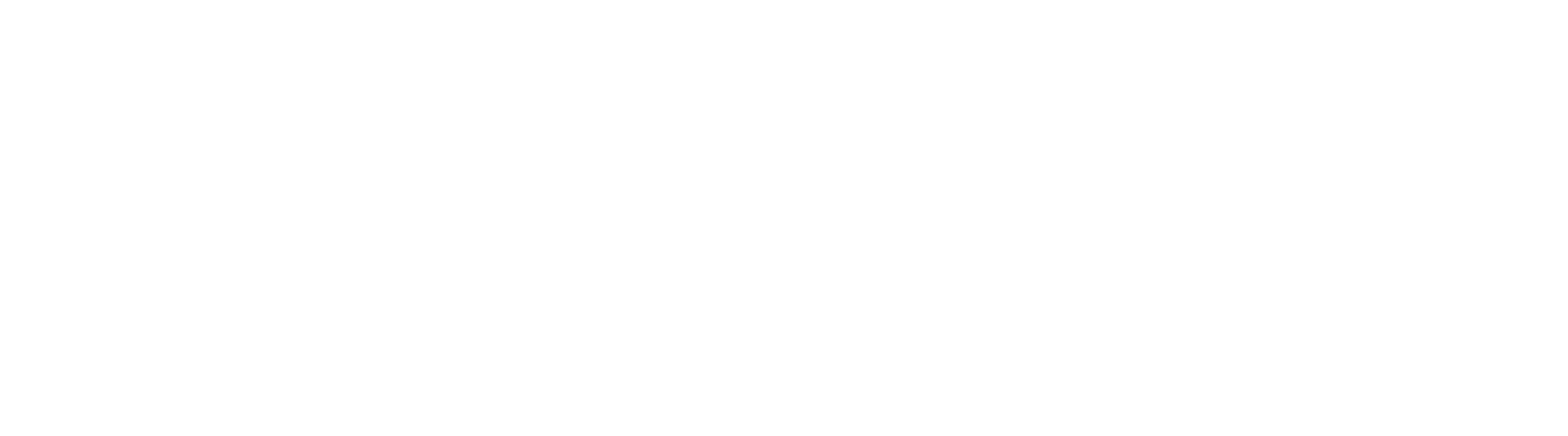 Bravoor_logo_wit_RGB.png