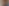 A7402722.jpg
