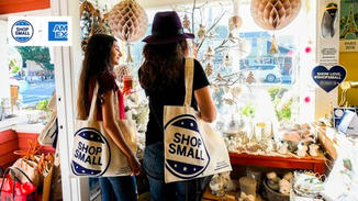 We surveyed the landscape of brands that are supporting small businesses and saw that American Express has a shop small program, but they are not supporting them in a holistic way. We see a significant opportunity that many brands are missing out on.