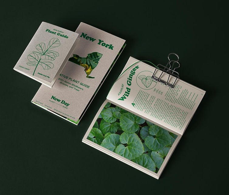 SOC-IG-NewDay-notebooks.jpg