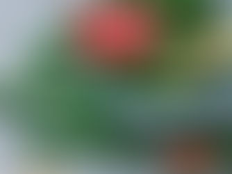 O que é clorella e como usar.