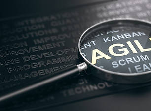 Agile spyglass Large.jpg