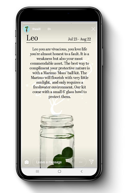 iPhone X Mockup3.png