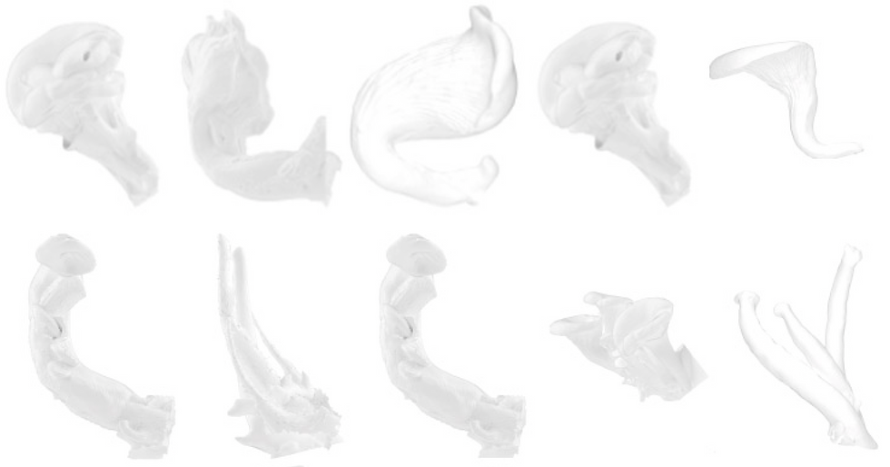 Screenshot 2024-04-09 at 22.43.33.png