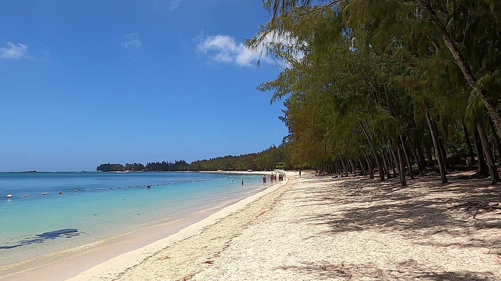 La spiaggia di Trou Au Biches