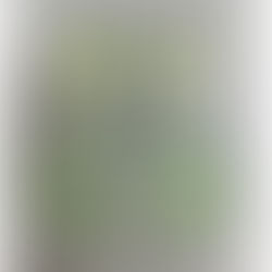 背中というか腰というか・・・