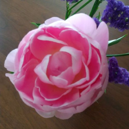 本年もよろしくお願いいたします。