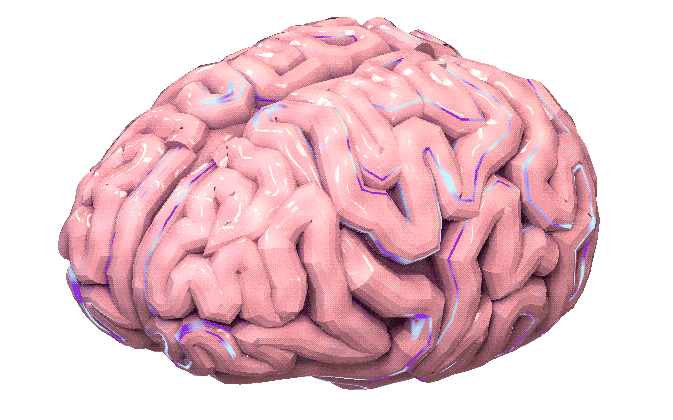 brain2.gif