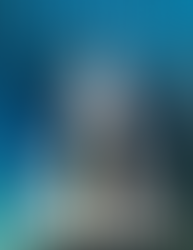 Book Review: Memorial Day -- by Vince Flynn